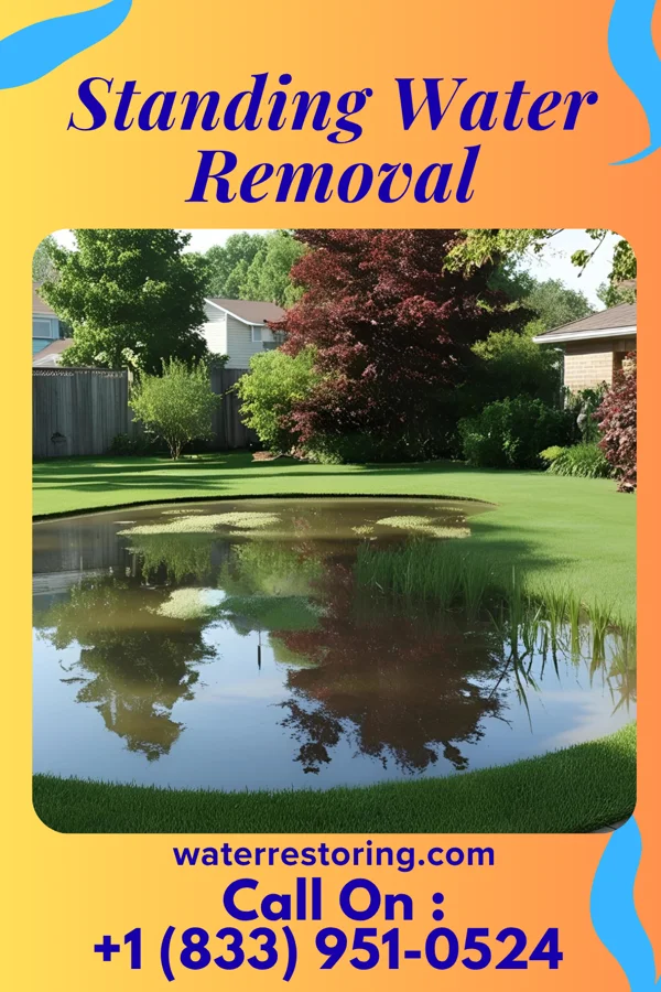 Standing Water Removal in West Samoset, FL
